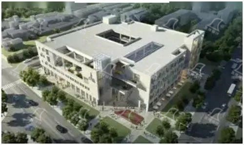 農貿市場投資:高回報與低風險的平衡藝術